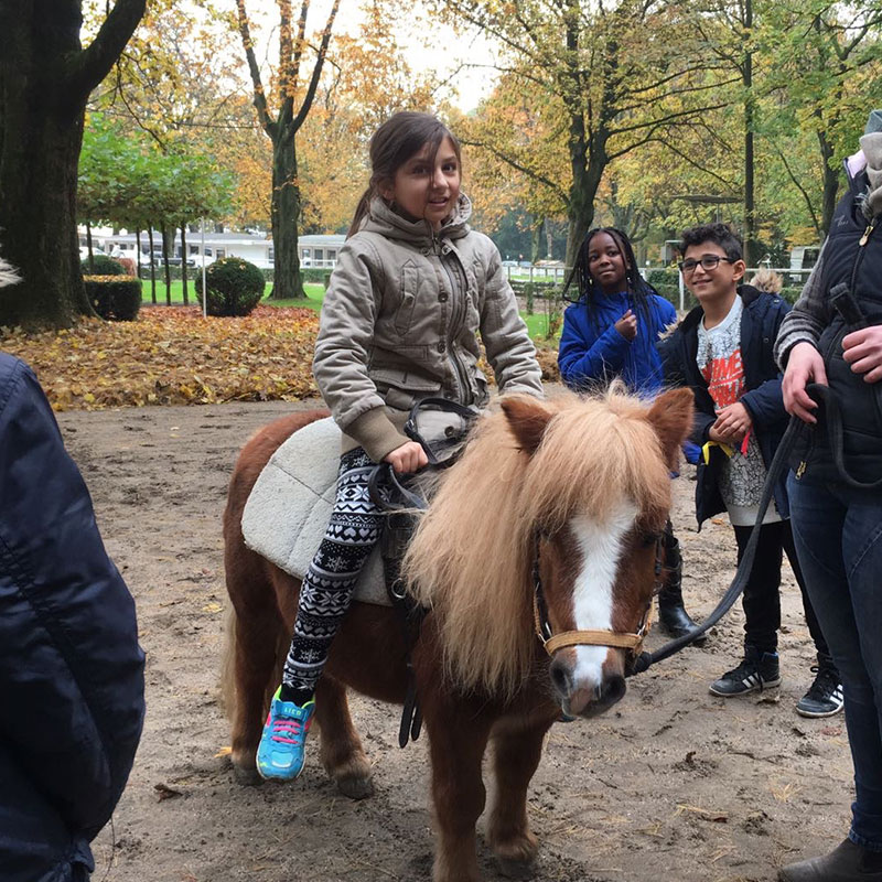 Tiere und Natur – Erlebniswelt für Kinder und Jugendliche